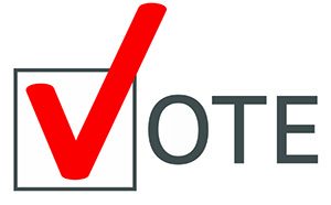vote domain auda changes