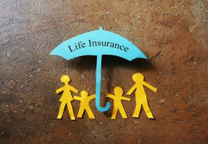 life insurance domain name sale purchase