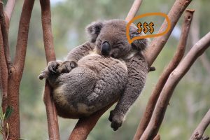 koala bedding mattress