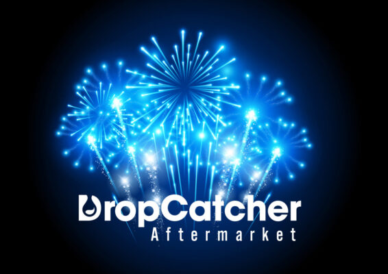 dropcatcher aftermarket domain sale auction