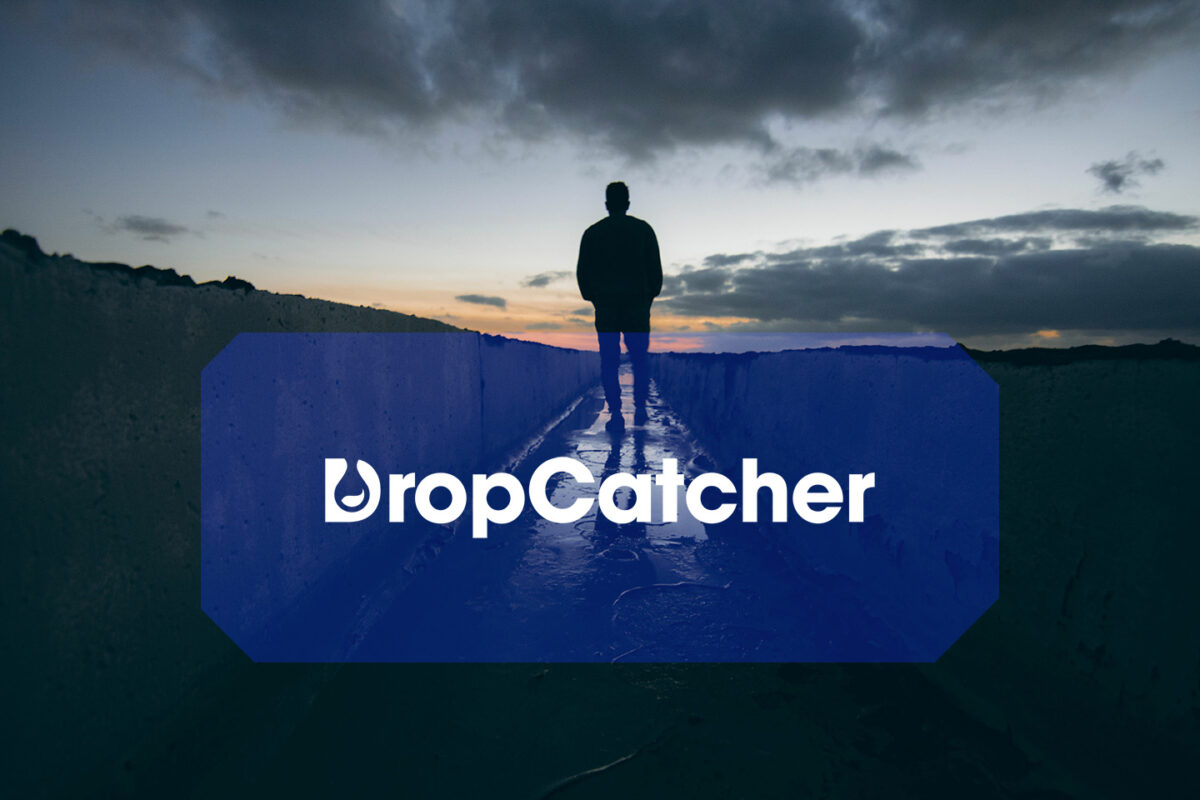 dropcatcher registrar auda application